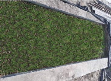 Stake(ÖйúÇø)¹Ù·½ÍøÕ¾