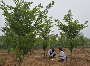 Stake(ÖйúÇø)¹Ù·½ÍøÕ¾