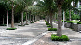 Stake(ÖйúÇø)¹Ù·½ÍøÕ¾