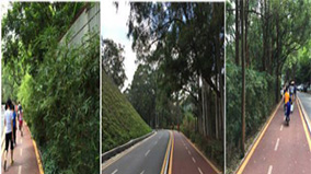 Stake(ÖйúÇø)¹Ù·½ÍøÕ¾