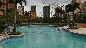 Stake(�й���)�ٷ���վ