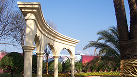 Stake(�й���)�ٷ���վ