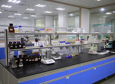 Stake(ÖйúÇø)¹Ù·½ÍøÕ¾